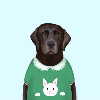 高颜值汪星人帅气头像精选图片(共20张)