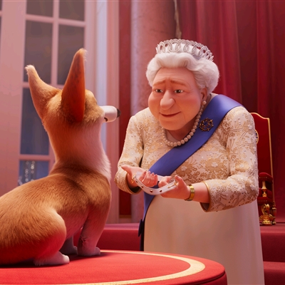 高颜值汪星人帅气头像精选图片(共20张)