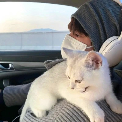 2023年最霸气的微信头像图片(精选20张)