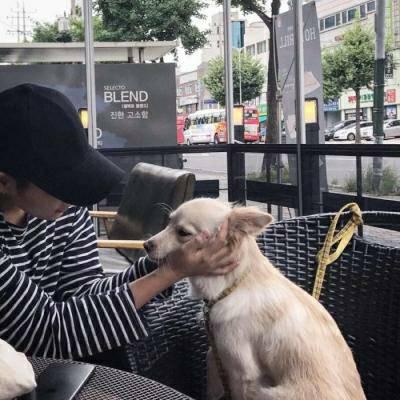 超拽有趣的微博男生个性头像图片(24张)