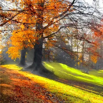 2023年带来健康好运的头像(精选24张)