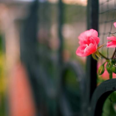 2023年带来好运的抖音头像(18张)