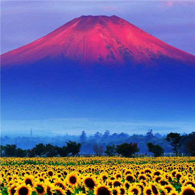 2023年带来好运的抖音头像(18张)