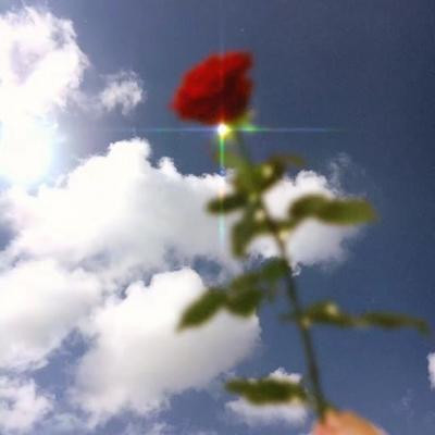 2023年带来好运的抖音头像(18张)