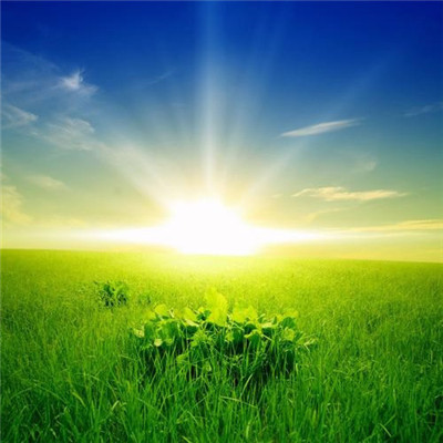 2023年带来好运的抖音头像(18张)