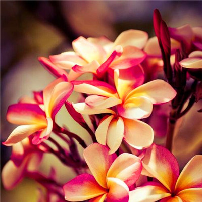 漂亮又好看的头像图片(精选26张)