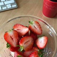 超漂亮的微信头像图片(精选24张)