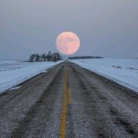 超漂亮的微信头像图片(精选24张)