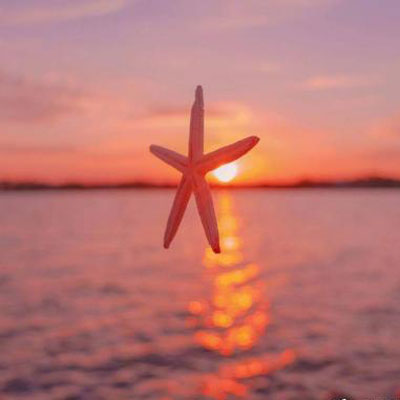 能被一眼注意到的微信头像风景(共22张)