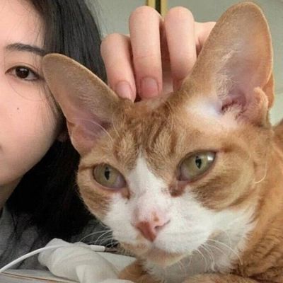 高级感十足的情侣头像可爱(优选22张)