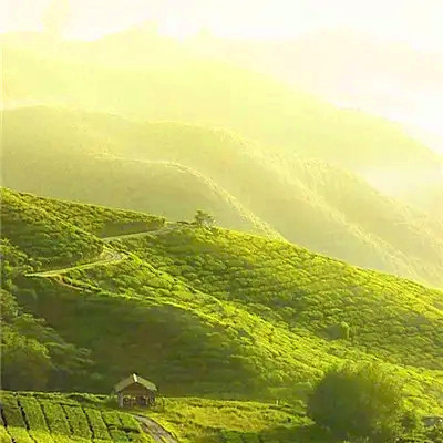 2023带来好运的微信头像简单(22张)