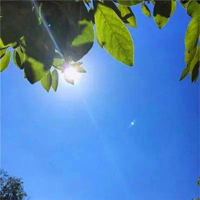 提升运气的微信头像图片(共20张)