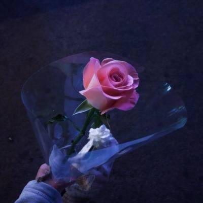 微信头像女50岁好运头像(优选20张)