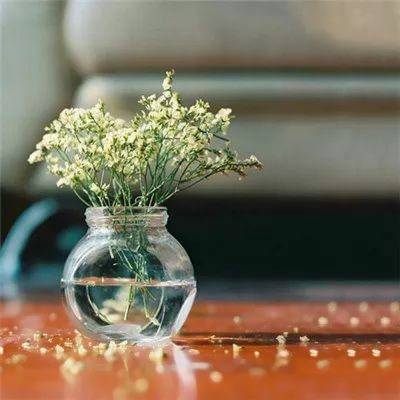 微信头像女50岁好运头像(优选20张)