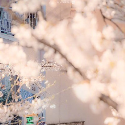 微信头像自然风景图片简单(34张)