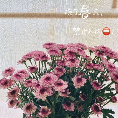 微信头像自然风景图片简单(34张)