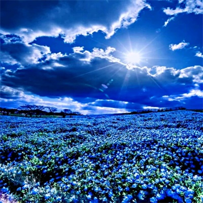 微信头像自然风景图片简单(34张)