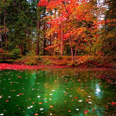 微信头像自然风景图片简单(34张)