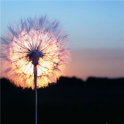 微信头像自然风景图片简单(34张)