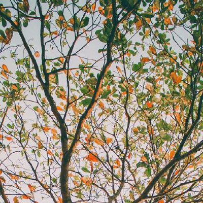 微信头像自然风景图片简单(34张)