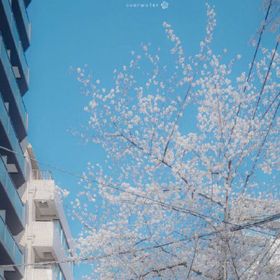 微信头像自然风景图片简单(34张)