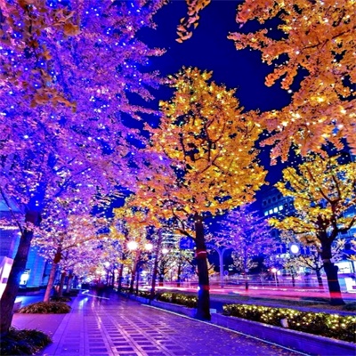 微信头像自然风景图片简单(34张)