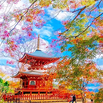 微信头像自然风景图片简单(34张)