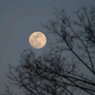 老年人微信头像风景(精选30张)