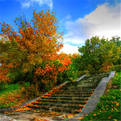 老年人微信头像风景(精选30张)