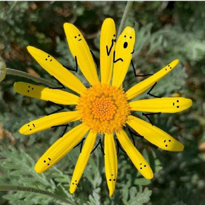 老年人微信头像风景(精选30张)