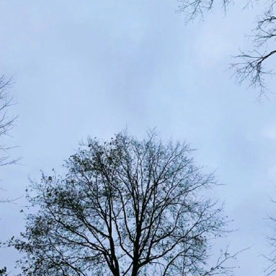 适合中老年的微信头像图片(优选23张)