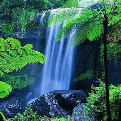 适合中老年的微信头像图片(优选23张)