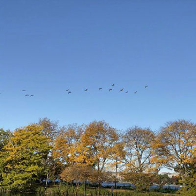 适合中老年的微信头像图片(优选23张)