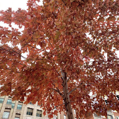 适合中老年的微信头像图片(优选23张)