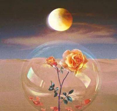 适合中老年的微信头像图片(优选23张)