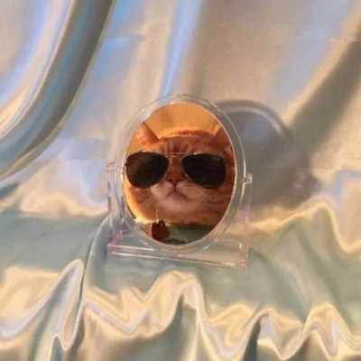 史上最贱最欠打的头像女(优选24张)