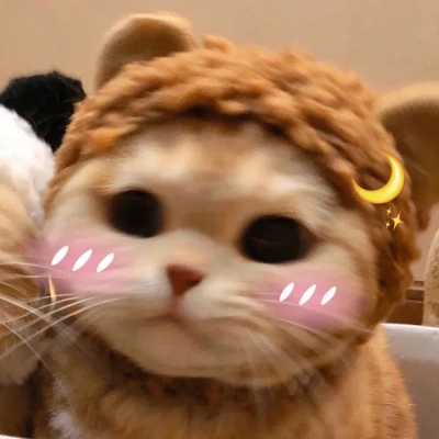 猫咪闺蜜头像两人一人一张可爱(优选18张)