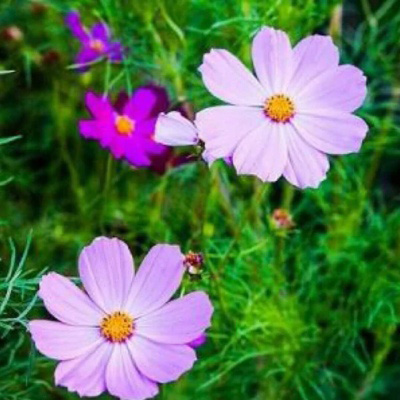 适合中年妈妈微信头像风景(精选28张)