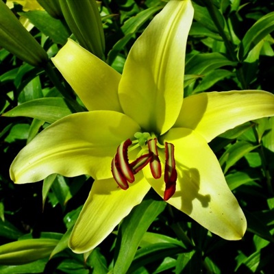 好看的头像妈妈专用(精选22张)