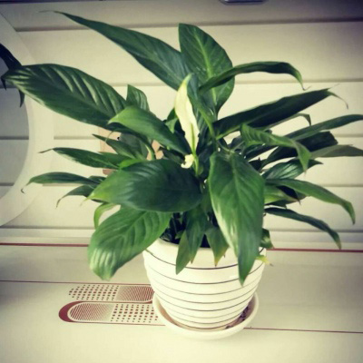 好看的头像妈妈专用(精选22张)