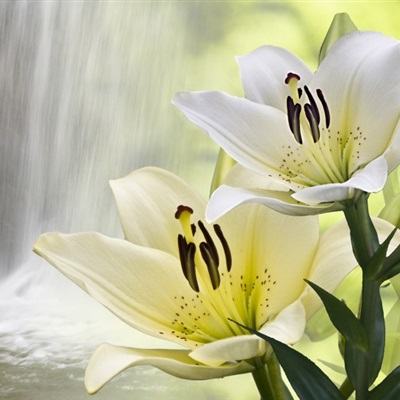 好看的头像妈妈专用(精选22张)