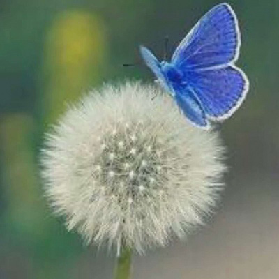 好看的头像妈妈专用(精选22张)