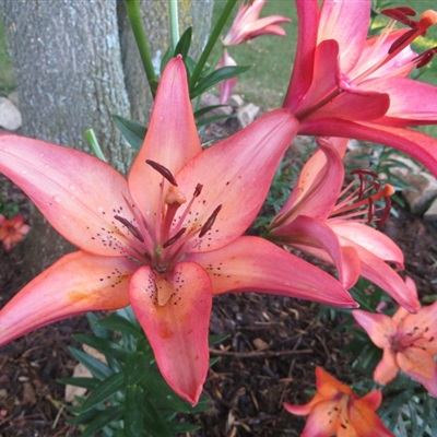 好看的头像妈妈专用(精选22张)