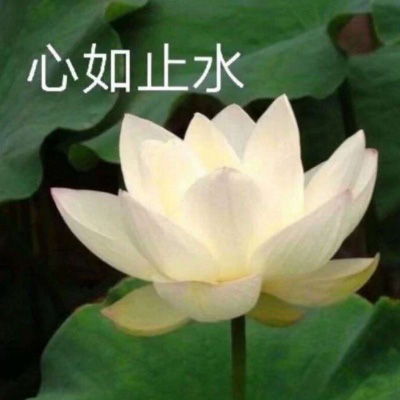 好看的头像妈妈专用(精选22张)