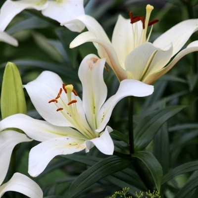 好看的头像妈妈专用(精选22张)