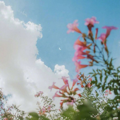 适合70后做头像的图片(共20张)