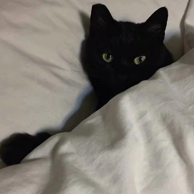 独特风格的微信头像(优选16张)