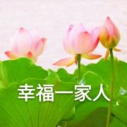 60多岁老人微信头像大全花(共20张)