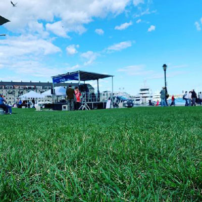 60多岁老人微信头像大全花(共20张)