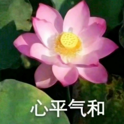 60多岁老人微信头像大全花(共20张)